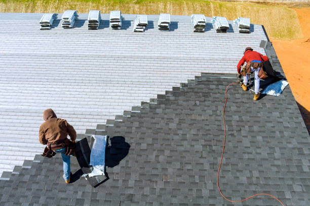 Best Local Roofing Companies  in Dunnavant, AL