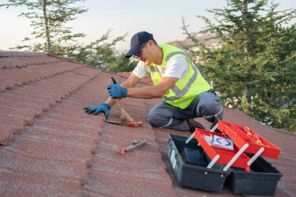 Best Emergency Roof Repair  in Dunnavant, AL