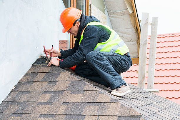 Best Roof Waterproofing Services  in Dunnavant, AL